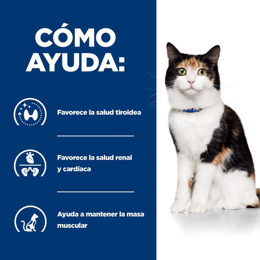 156 g Hill's Prescription Diet Thyroid Care y/d Pollo lata para gatos, , large Imagen numero 3